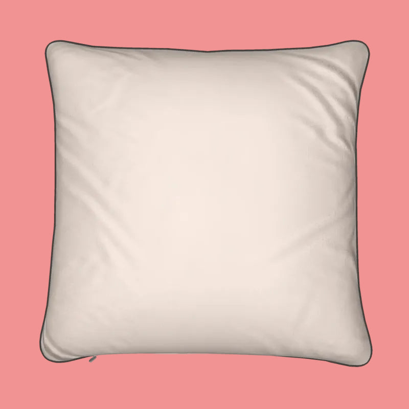 Becollage Desginer pillow